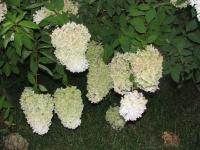 Albums/20060800-China Aug 2006/20060804-Shenyang University/84